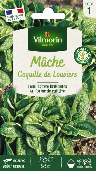 Potagères - Mâche Coquille de Louviers - PACKAGING_RECTO